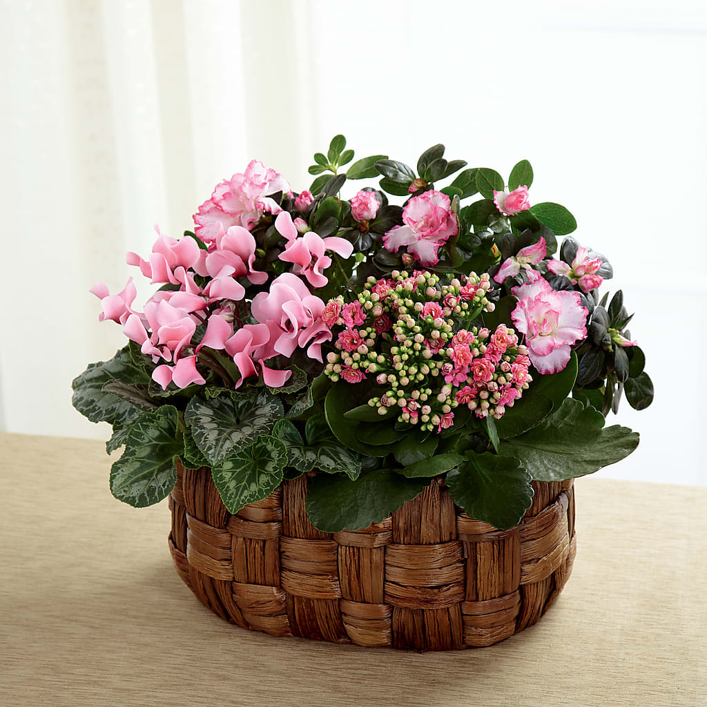 Pink Assortment – EDDY'S FLOWERS, Norwalk CA