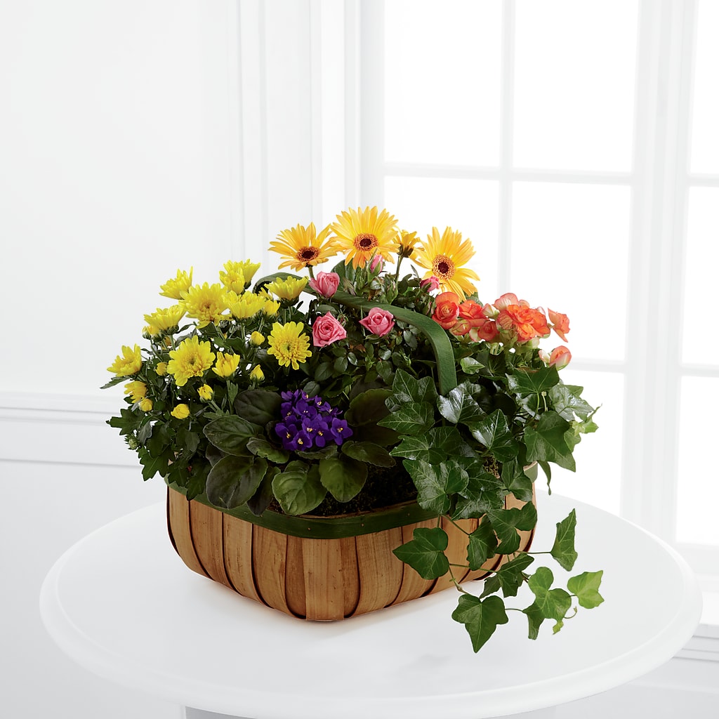 Gentle Blossoms Basket – EDDY'S FLOWERS, Norwalk CA