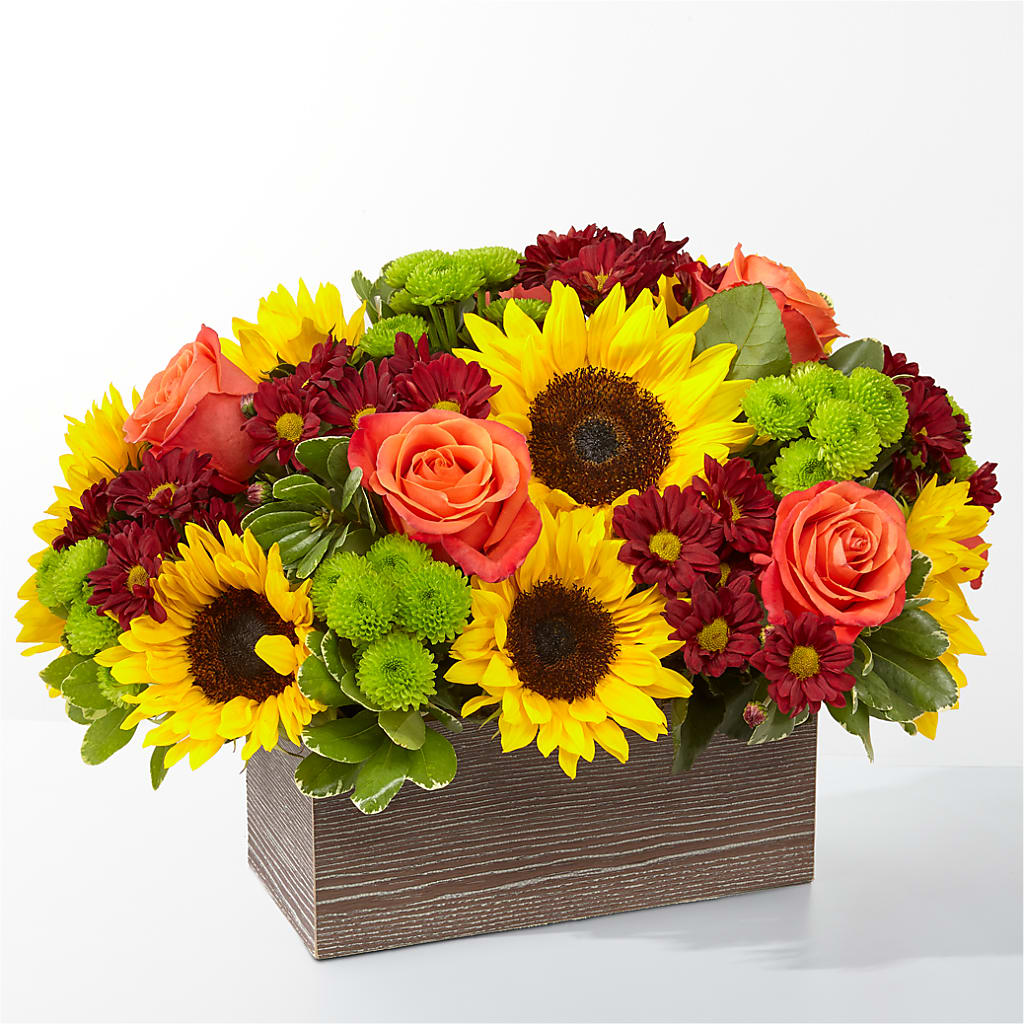 Happy Harvest Garden – EDDY'S FLOWERS, Norwalk CA