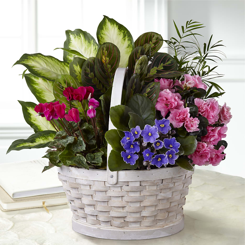 Peaceful Garden Planter – EDDY'S FLOWERS, Norwalk CA