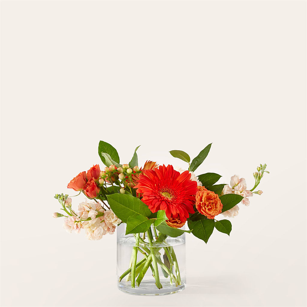 Paloma Please Bouquet – EDDY'S FLOWERS, Norwalk CA