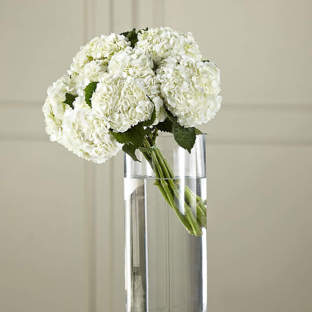 White Hydrangea Hand-Tied Bouquet – EDDY'S FLOWERS, Norwalk CA