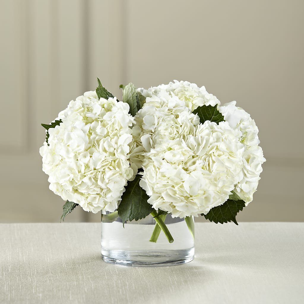 White Hydrangea Bouquet – EDDY'S FLOWERS, Norwalk CA