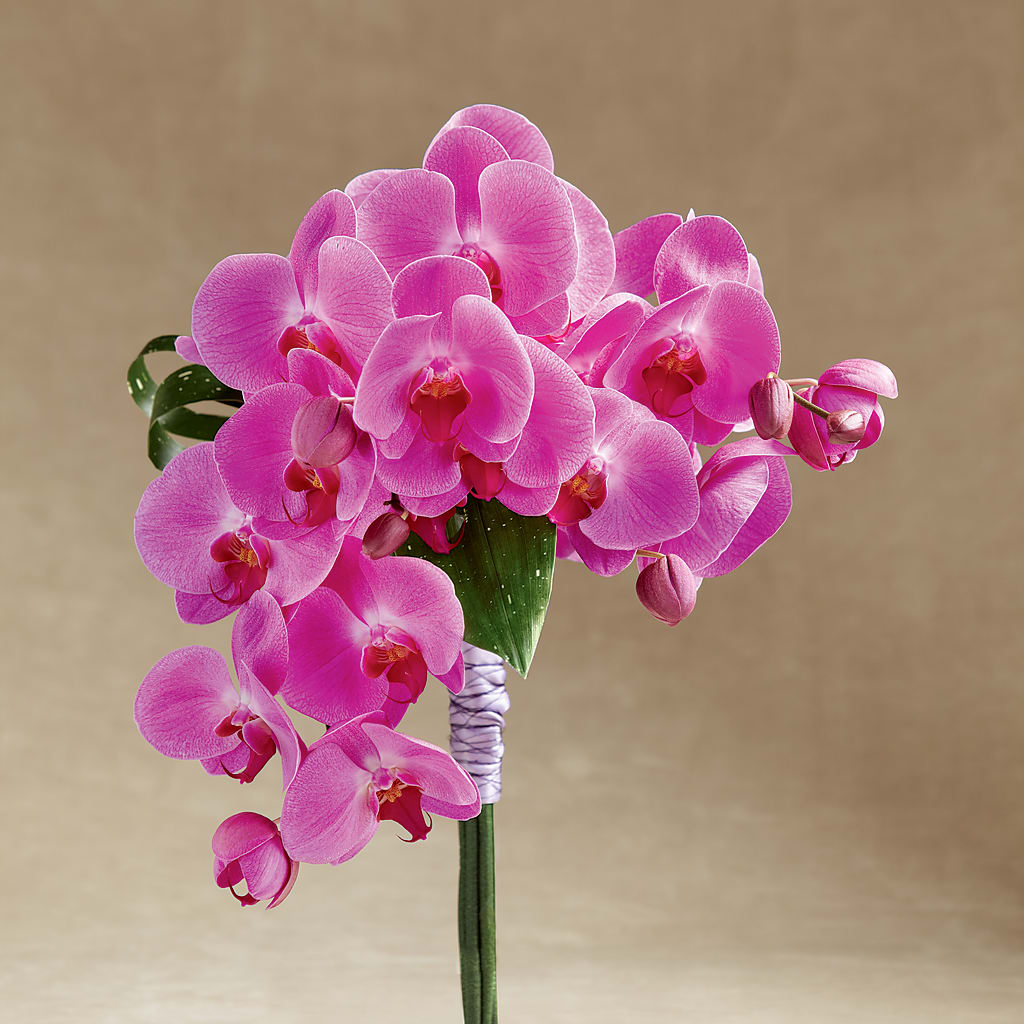 Glorious Bouquet – EDDY'S FLOWERS, Norwalk CA