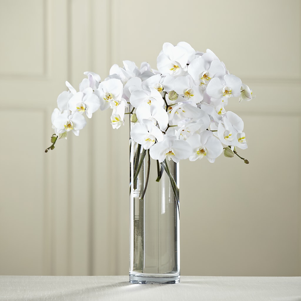 White Phalaenopsis Bouquet – EDDY'S FLOWERS, Norwalk CA