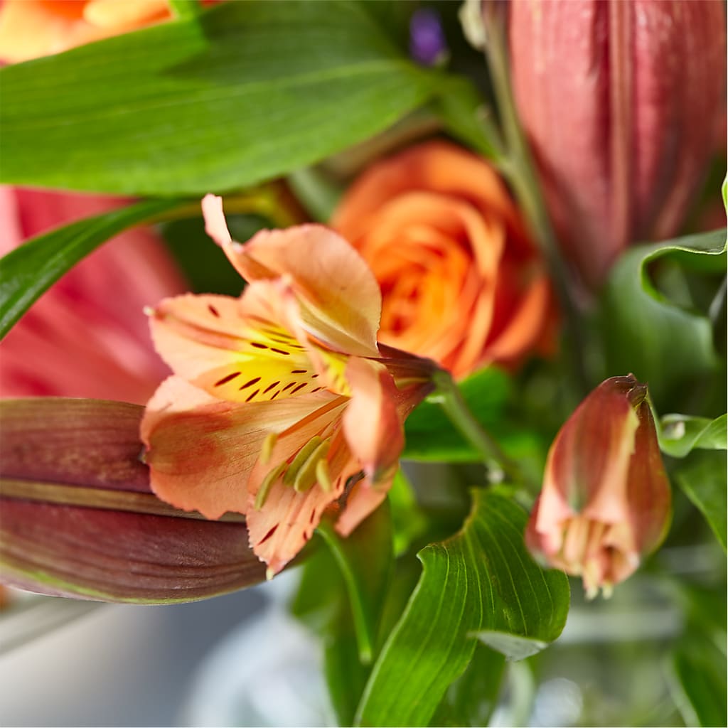 Bold & Bright – A Florist Original – EDDY'S FLOWERS, Norwalk CA