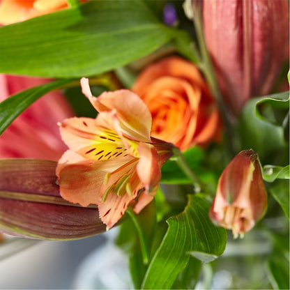 Bold & Bright – A Florist Original – EDDY'S FLOWERS, Norwalk CA