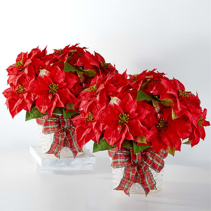 Happiest Holidays Poinsettia Bundle – EDDY'S FLOWERS, Norwalk CA