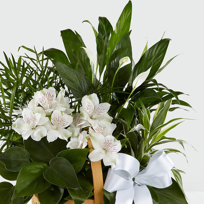 Peace & Serenity Dishgarden – EDDY'S FLOWERS, Norwalk CA