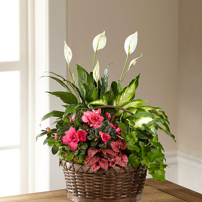 Dream in Pink Dishgarden – EDDY'S FLOWERS, Norwalk CA