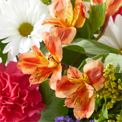 Oopsie Daisy Box Bouquet – EDDY'S FLOWERS, Norwalk CA