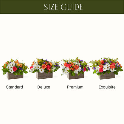 Oopsie Daisy Box Bouquet – EDDY'S FLOWERS, Norwalk CA