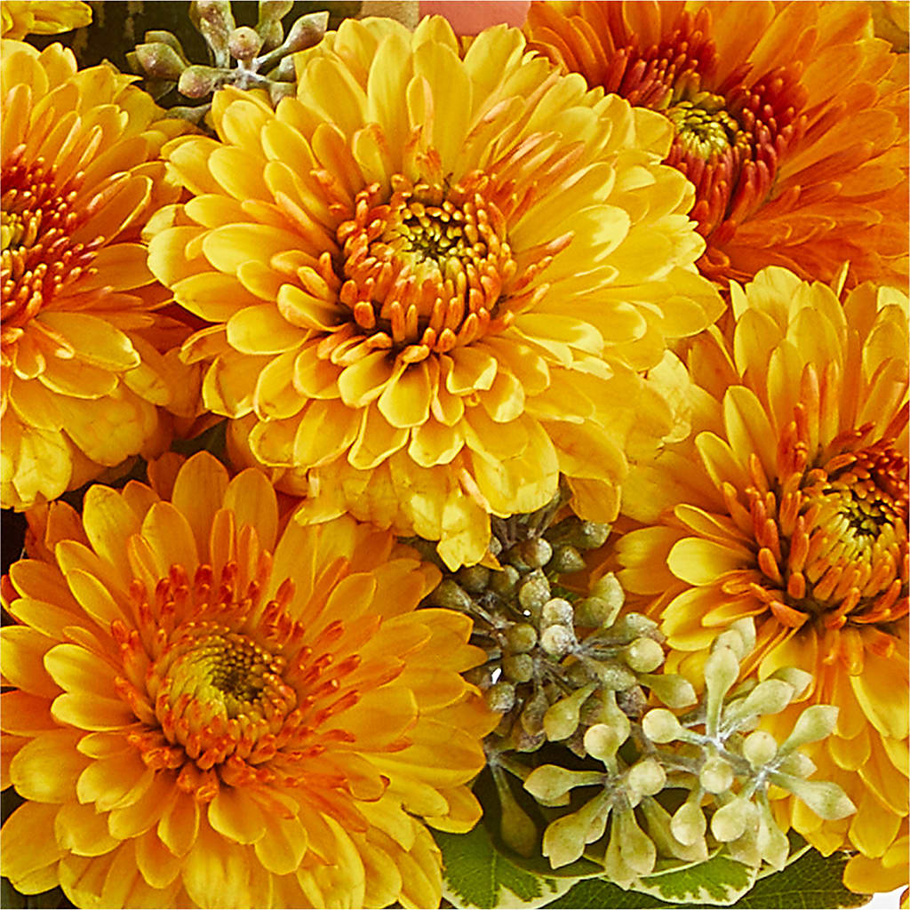 Peachy Pumpkin – EDDY'S FLOWERS, Norwalk CA