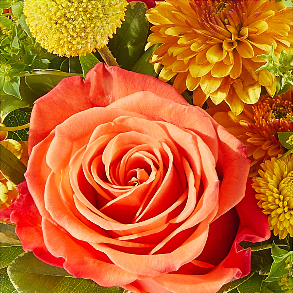Gourdgeous Pumpkin – EDDY'S FLOWERS, Norwalk CA