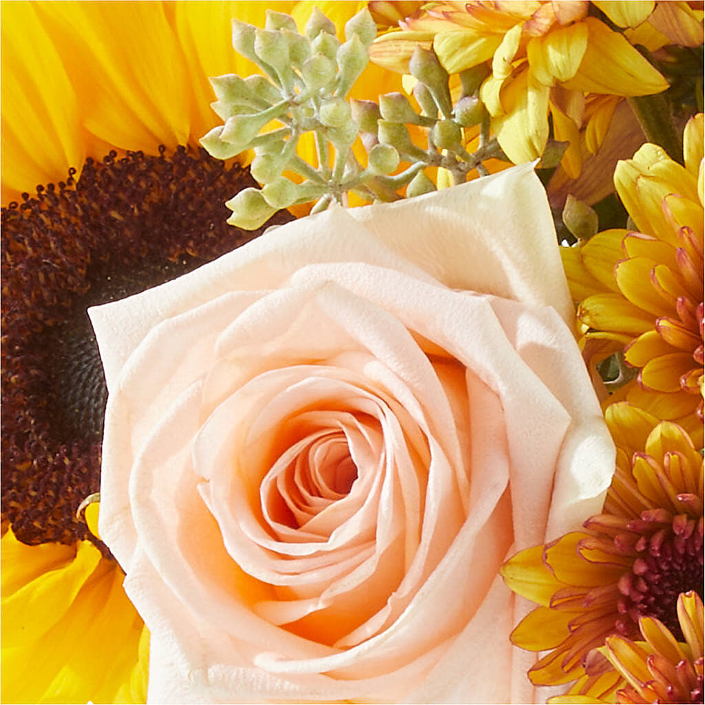 Pumpkin to Talk About Bouquet – EDDY'S FLOWERS, Norwalk CA