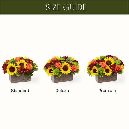 Happy Harvest Garden – EDDY'S FLOWERS, Norwalk CA