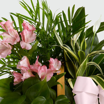 Living Spirit Dishgarden – EDDY'S FLOWERS, Norwalk CA