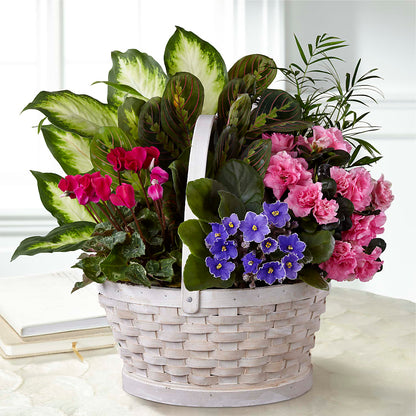 Peaceful Garden Planter – EDDY'S FLOWERS, Norwalk CA