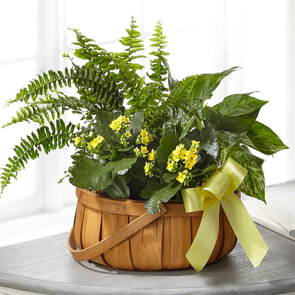Always Dear Dishgarden – EDDY'S FLOWERS, Norwalk CA