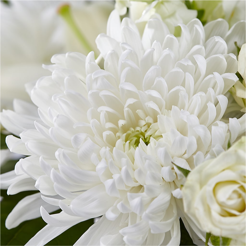 Classic Ivory – A Florist Original – EDDY'S FLOWERS, Norwalk CA