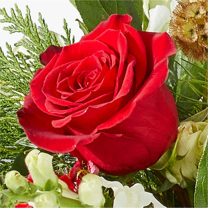 Deck the Halls Bouquet – EDDY'S FLOWERS, Norwalk CA