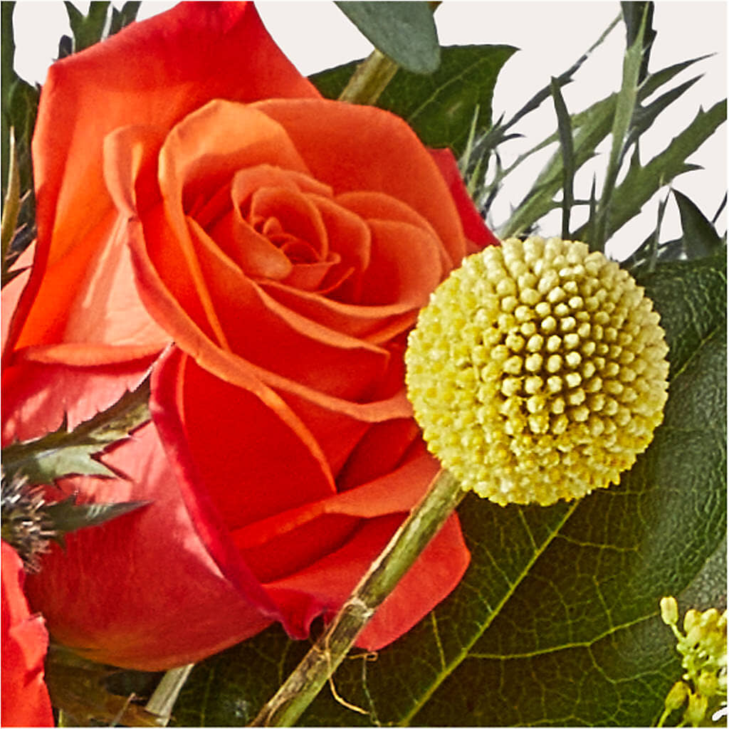 Disco Bouquet – EDDY'S FLOWERS, Norwalk CA