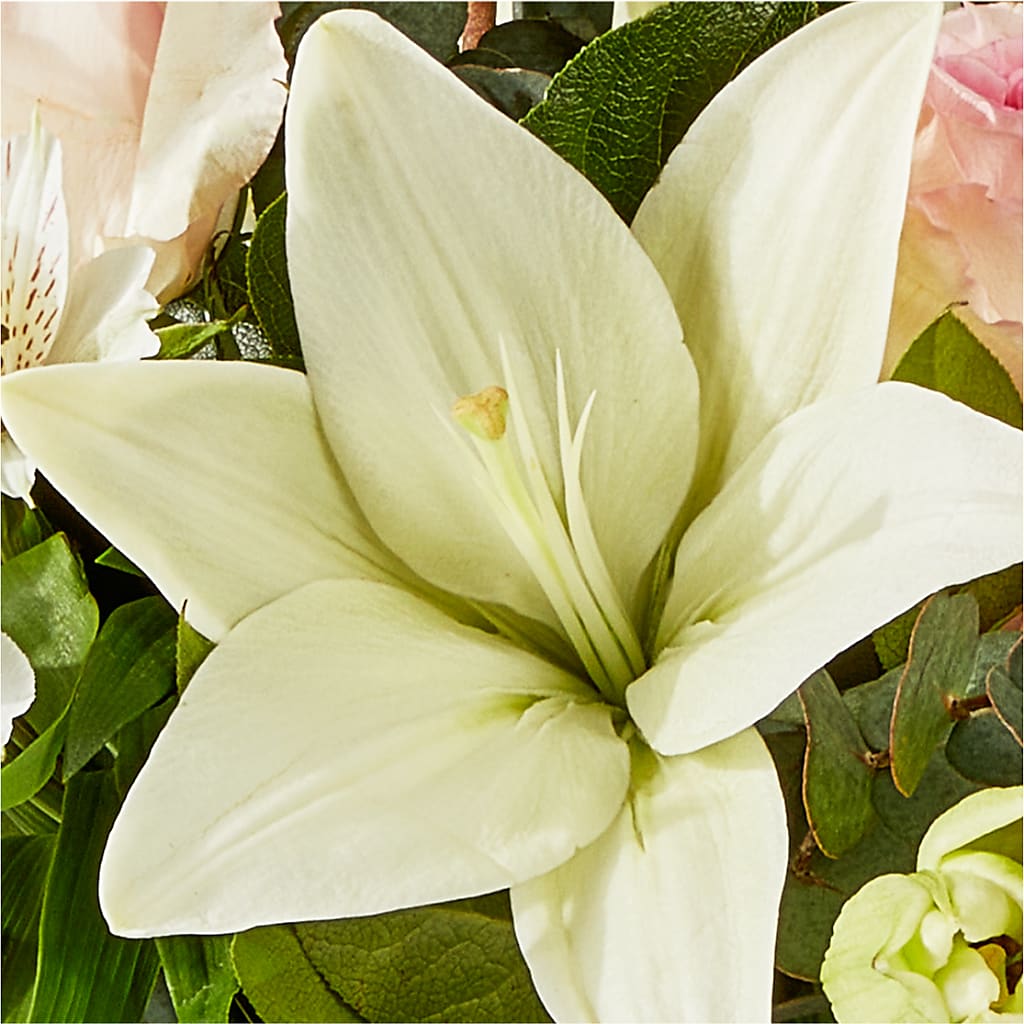 Ballet Slippers Bouquet – EDDY'S FLOWERS, Norwalk CA