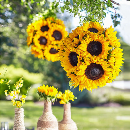 Sublime Garden Hanging Arrangement – EDDY'S FLOWERS, Norwalk CA