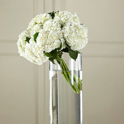 White Hydrangea Hand-Tied Bouquet – EDDY'S FLOWERS, Norwalk CA