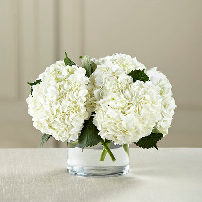 White Hydrangea Bouquet – EDDY'S FLOWERS, Norwalk CA
