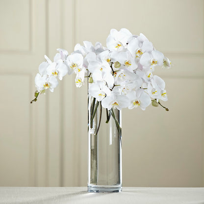 White Phalaenopsis Bouquet – EDDY'S FLOWERS, Norwalk CA